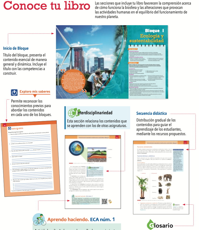 Ecología y medio ambiente - Image 4